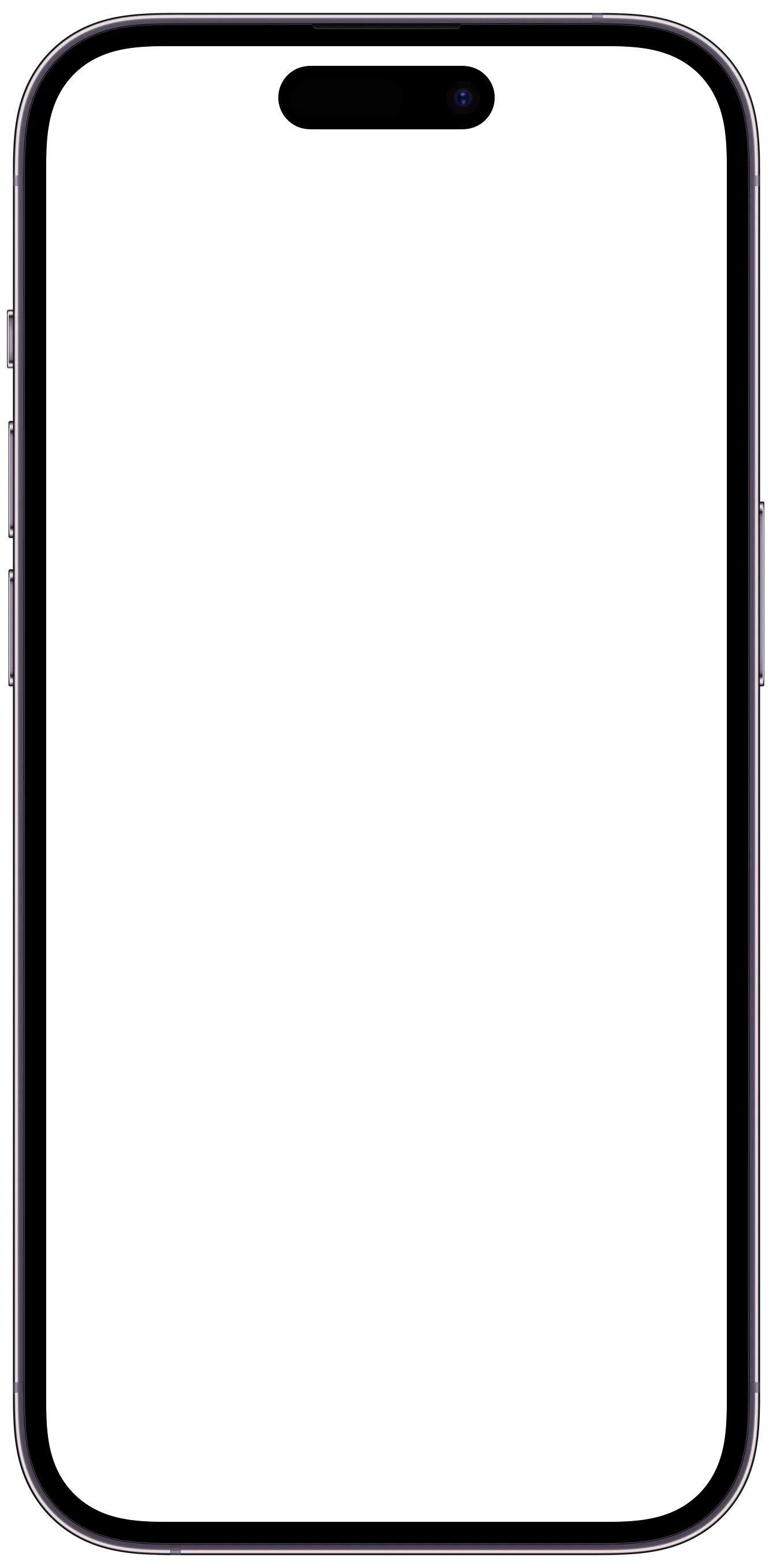 iPhone frame